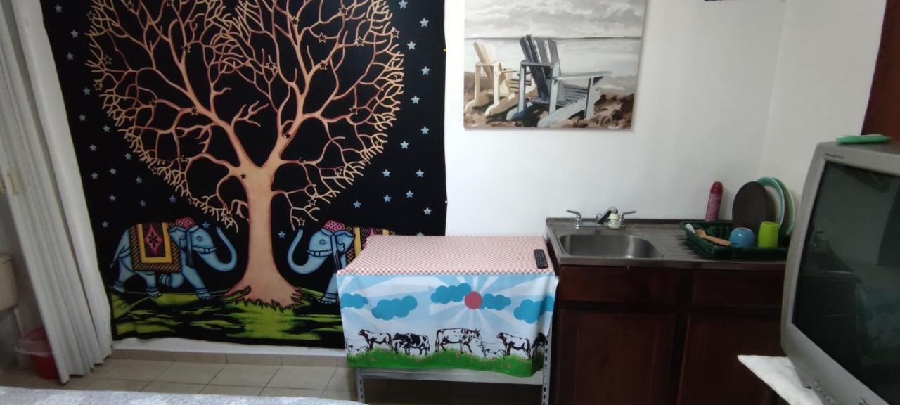 Zorobaru Casa Daire San José Dış mekan fotoğraf